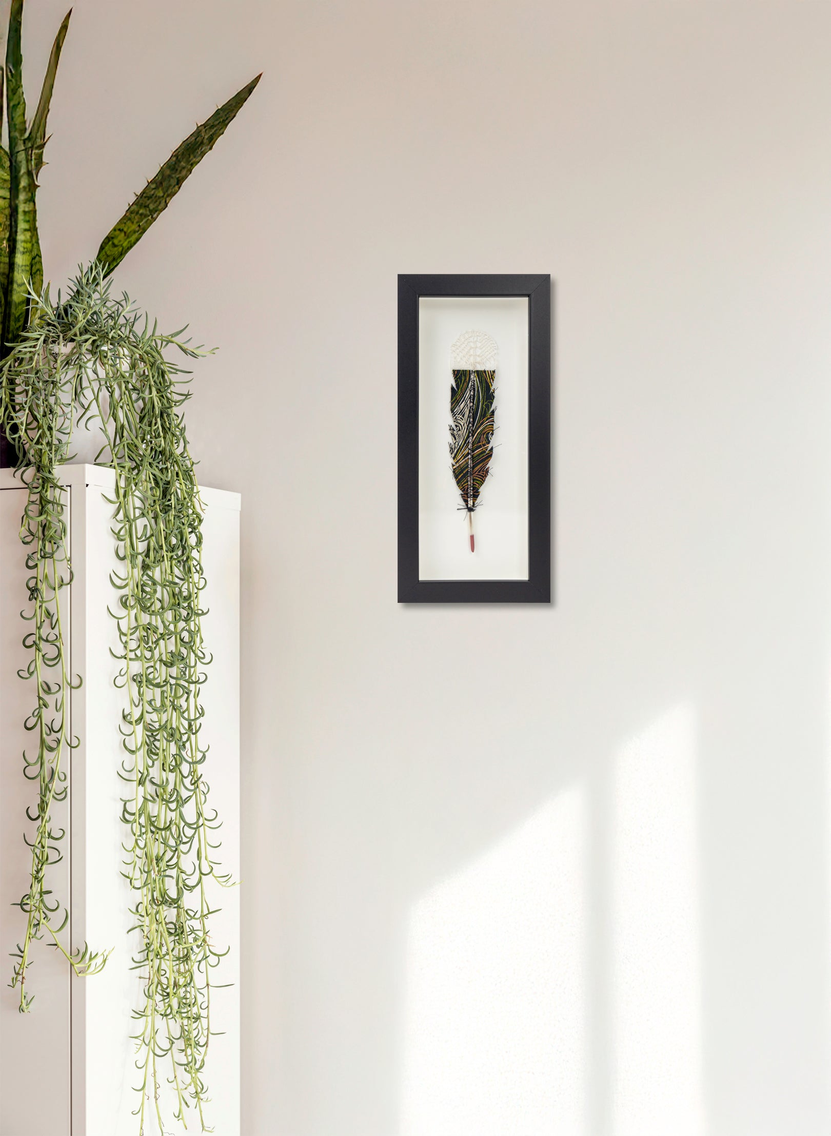 Single Huia Feather Framed
