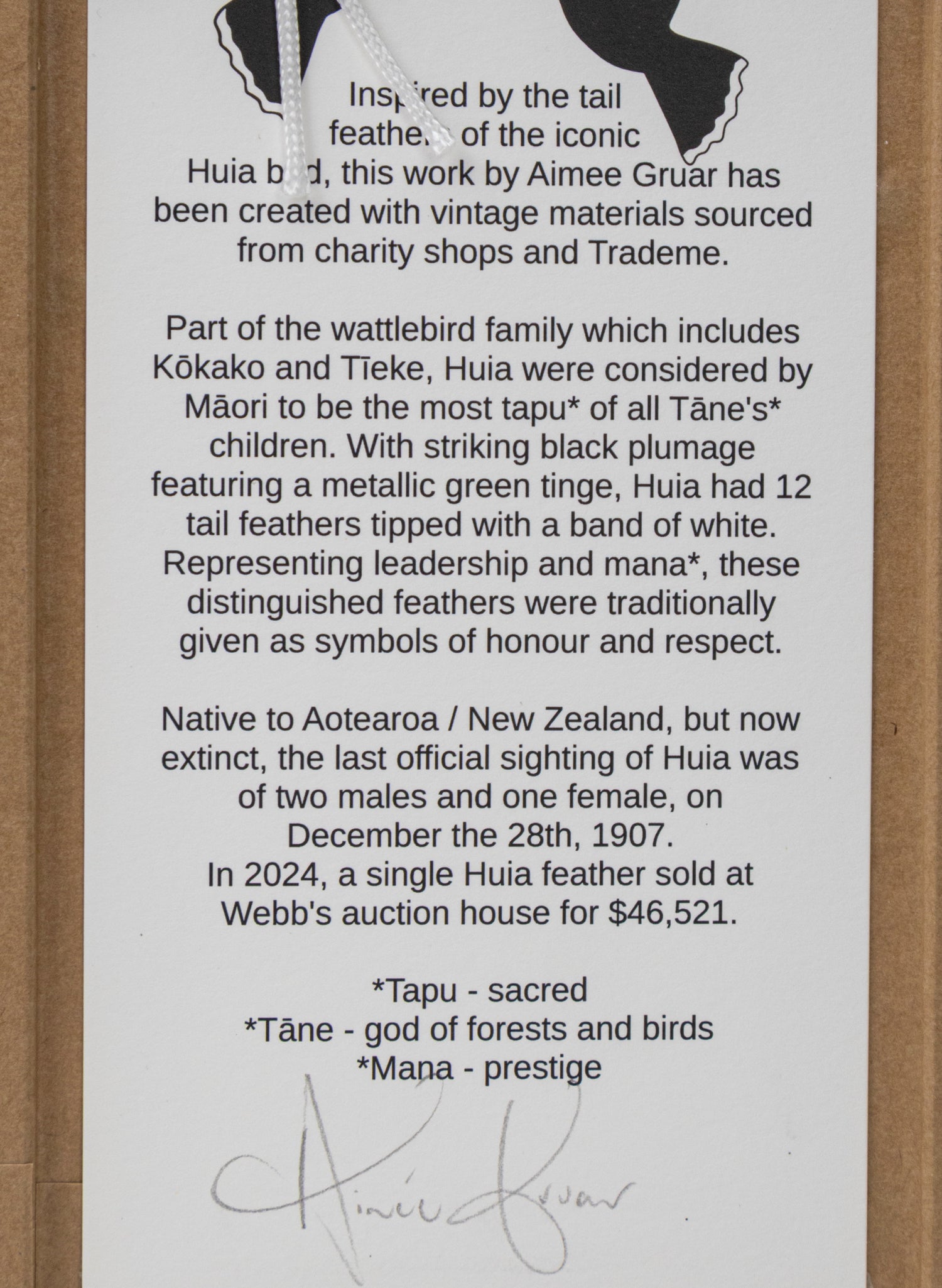 Single Huia Feather Framed