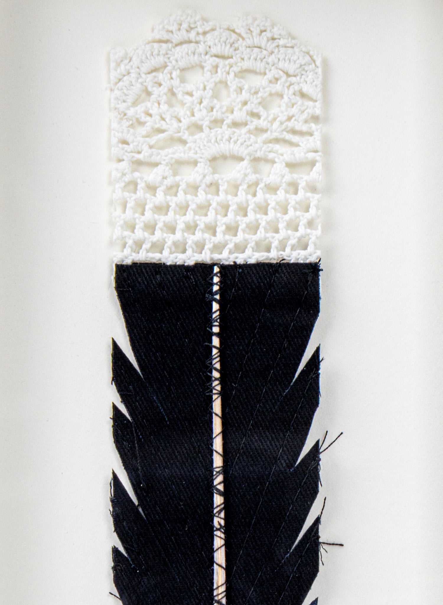 Single Huia Feather Framed