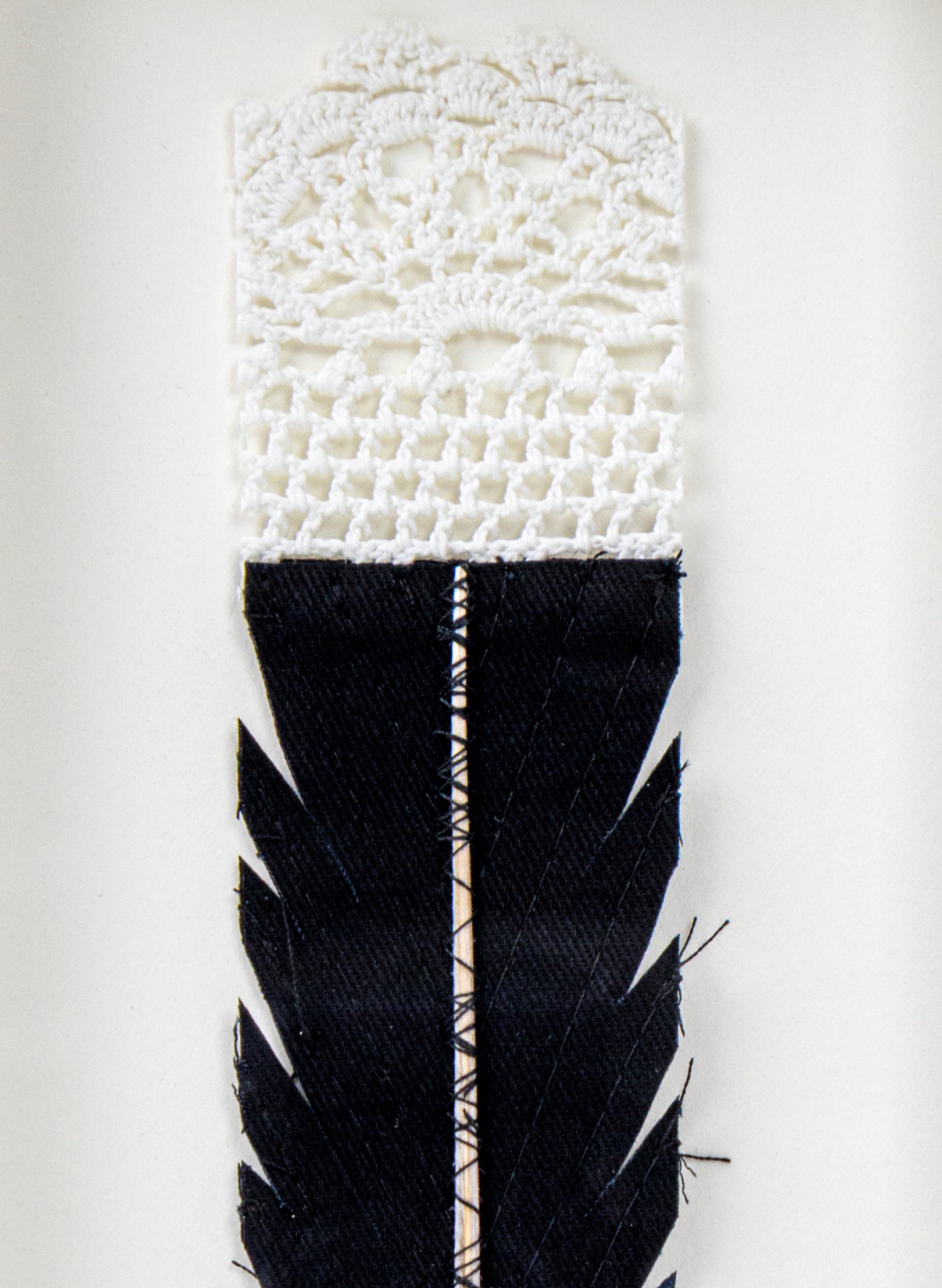 Single Huia Feather Framed
