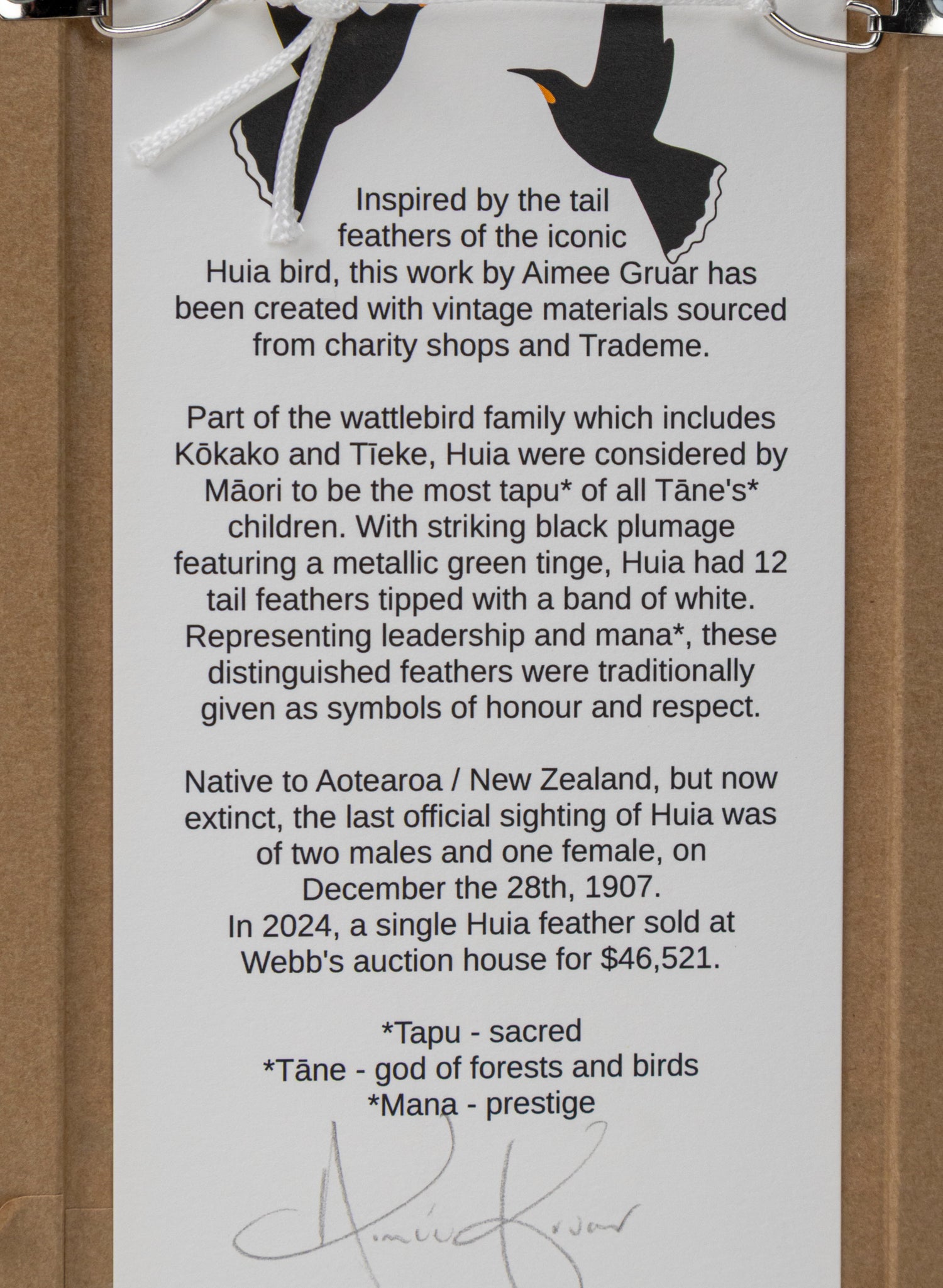 Single Huia Feather Framed