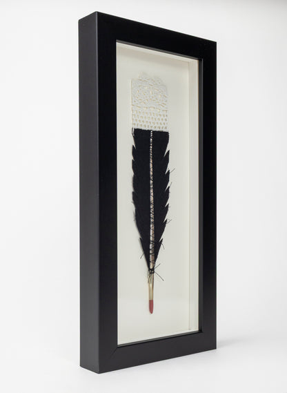 Single Huia Feather Framed