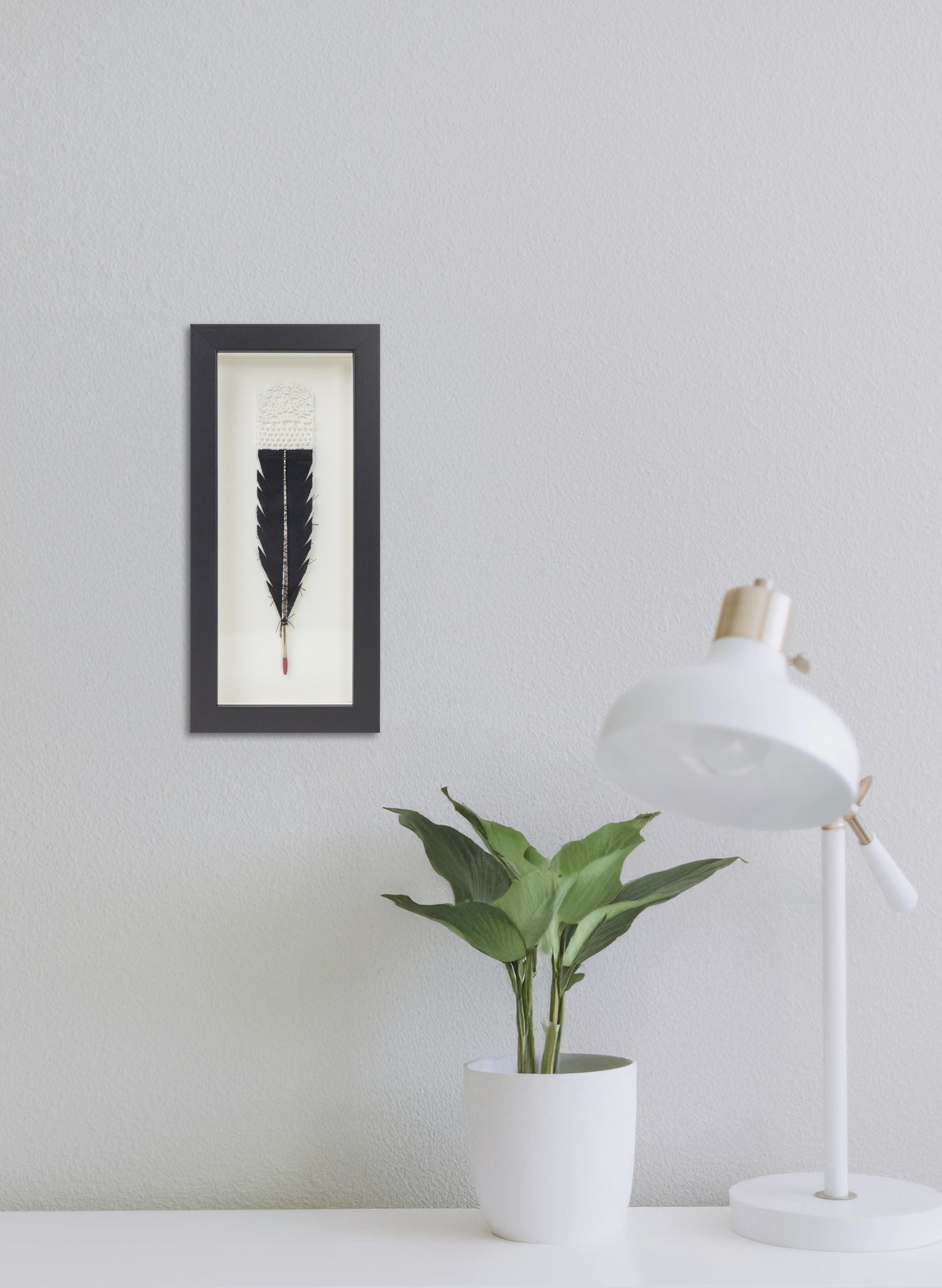 Single Huia Feather Framed