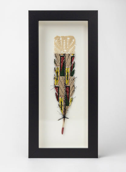 Single Huia Feather Framed