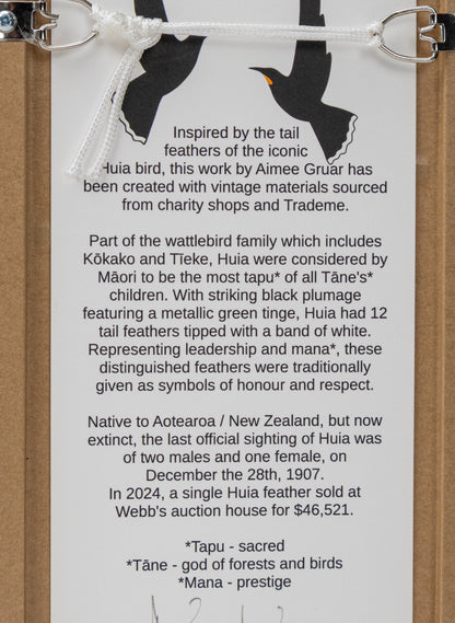 Single Huia Feather Framed