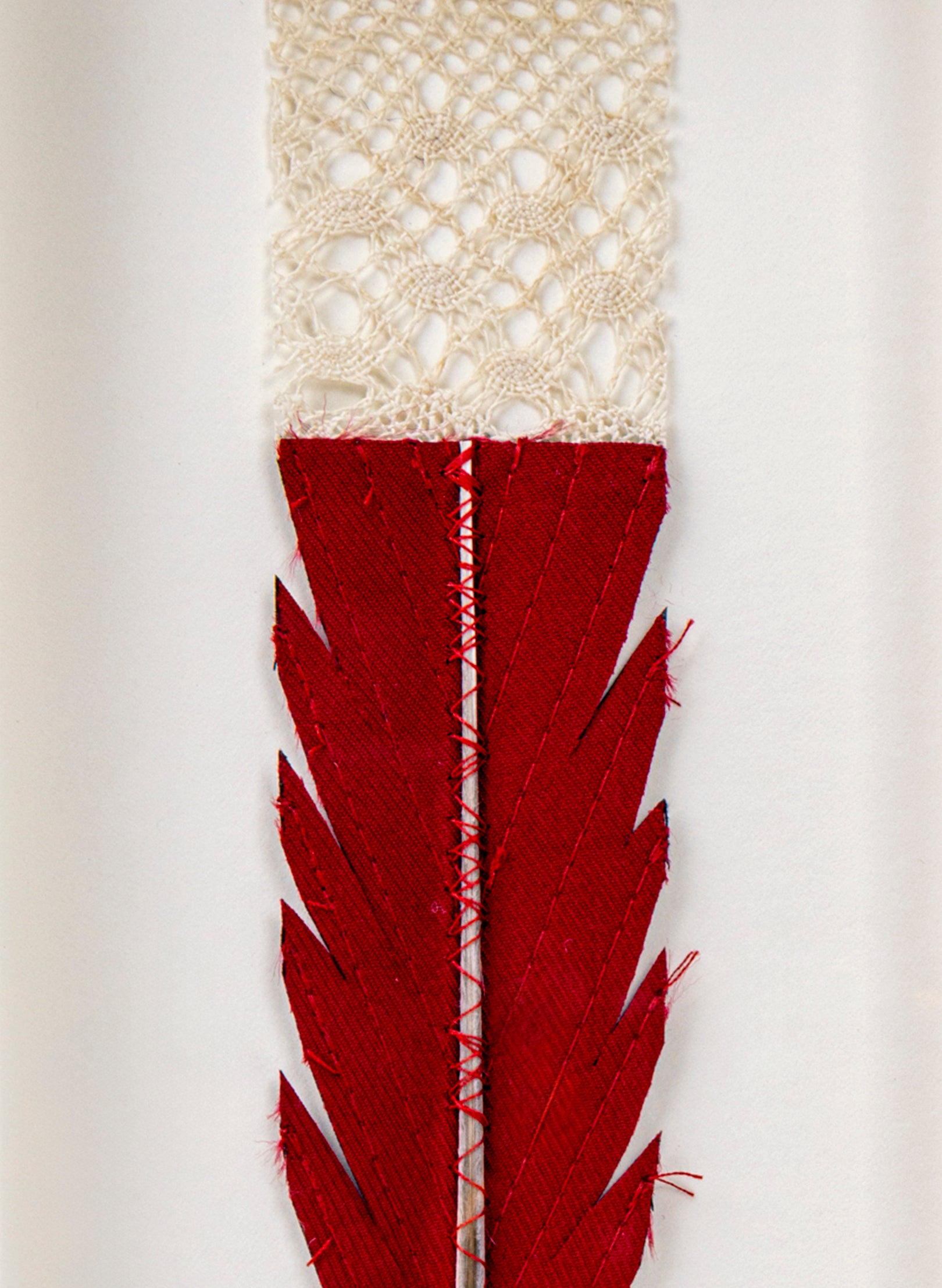 Single Huia Feather Framed