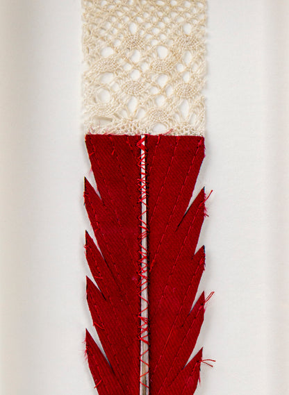 Single Huia Feather Framed