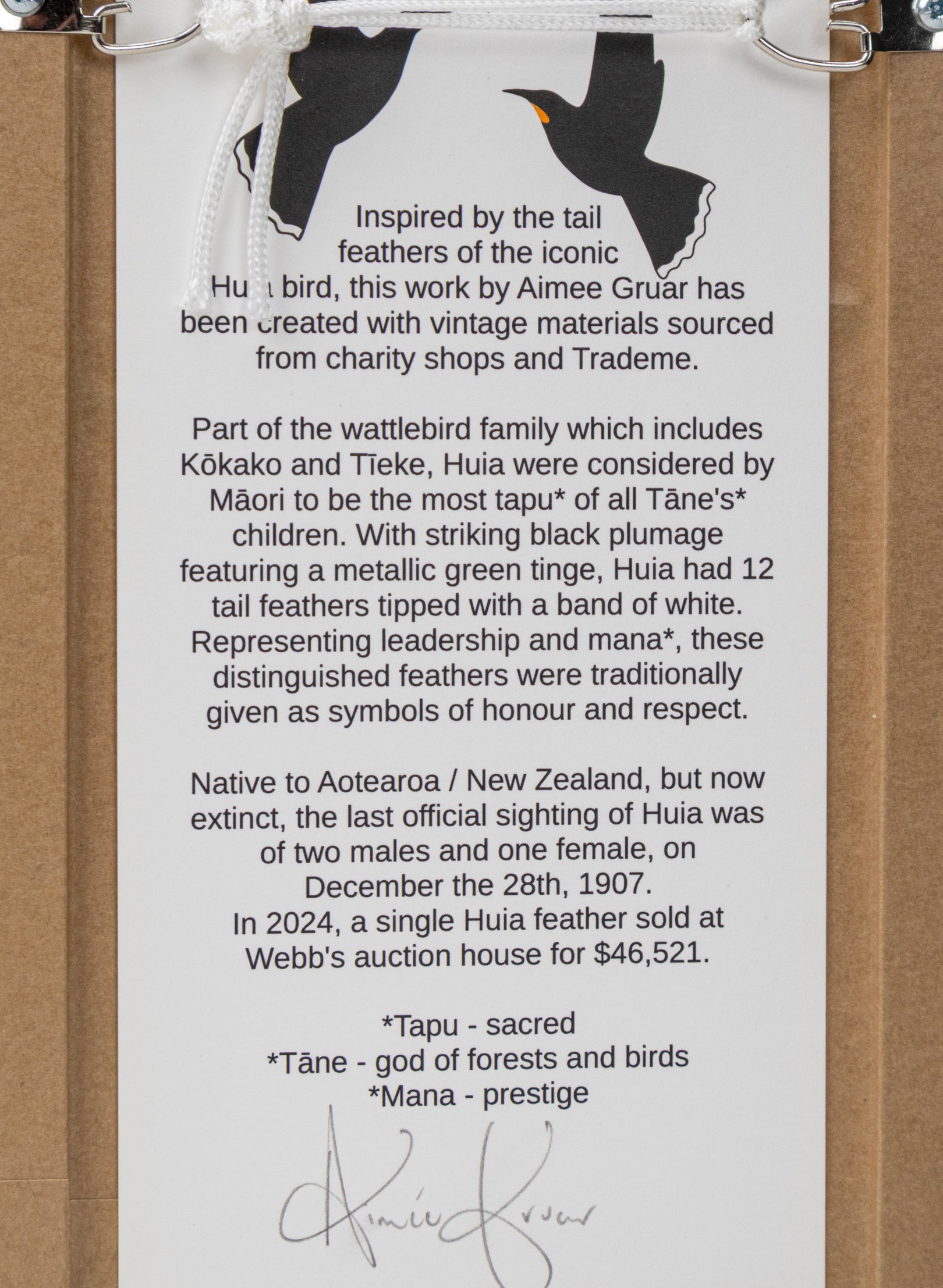 Single Huia Feather Framed