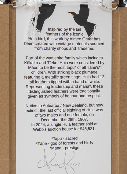 Single Huia Feather Framed