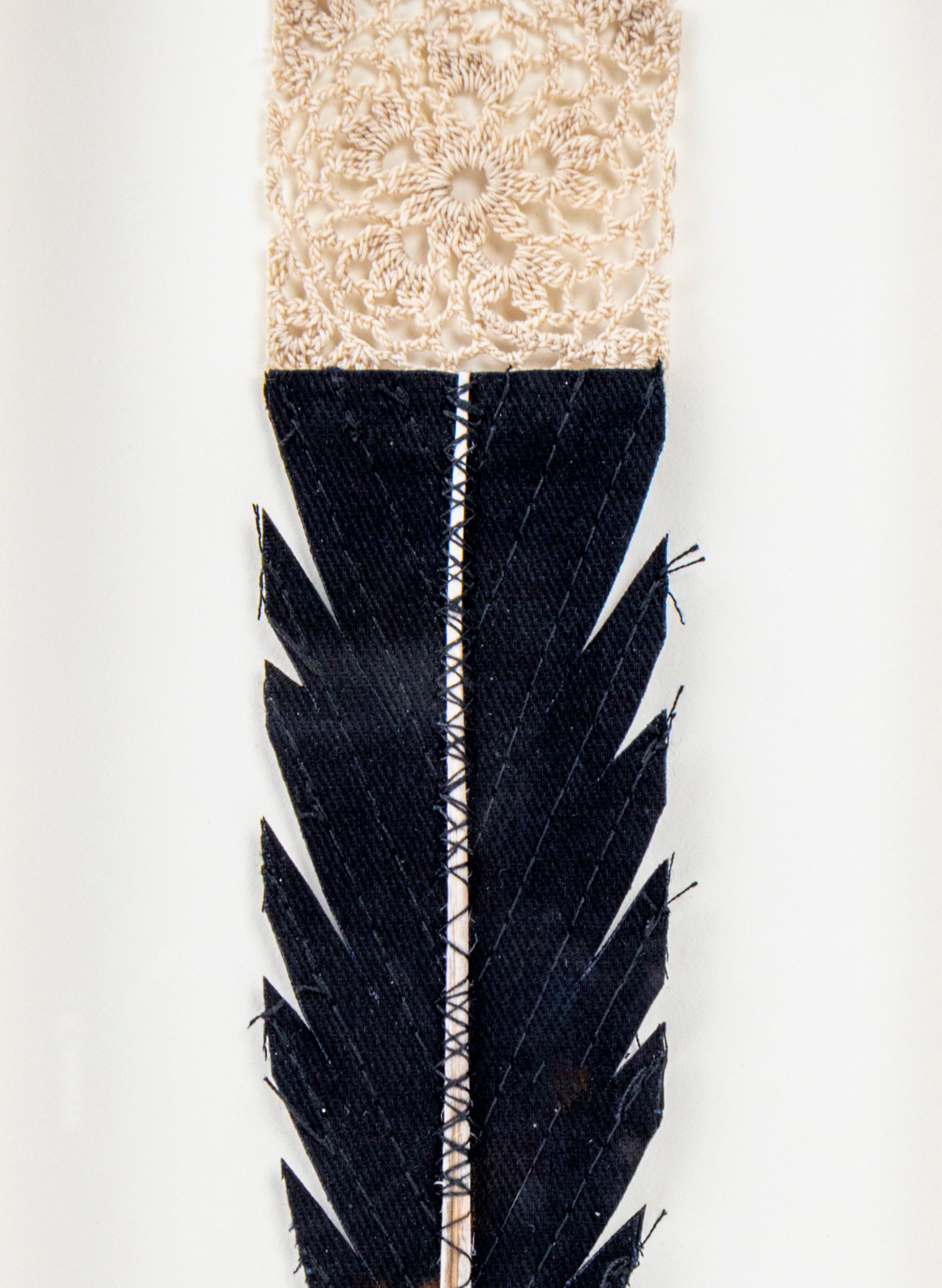 Single Huia Feather Framed