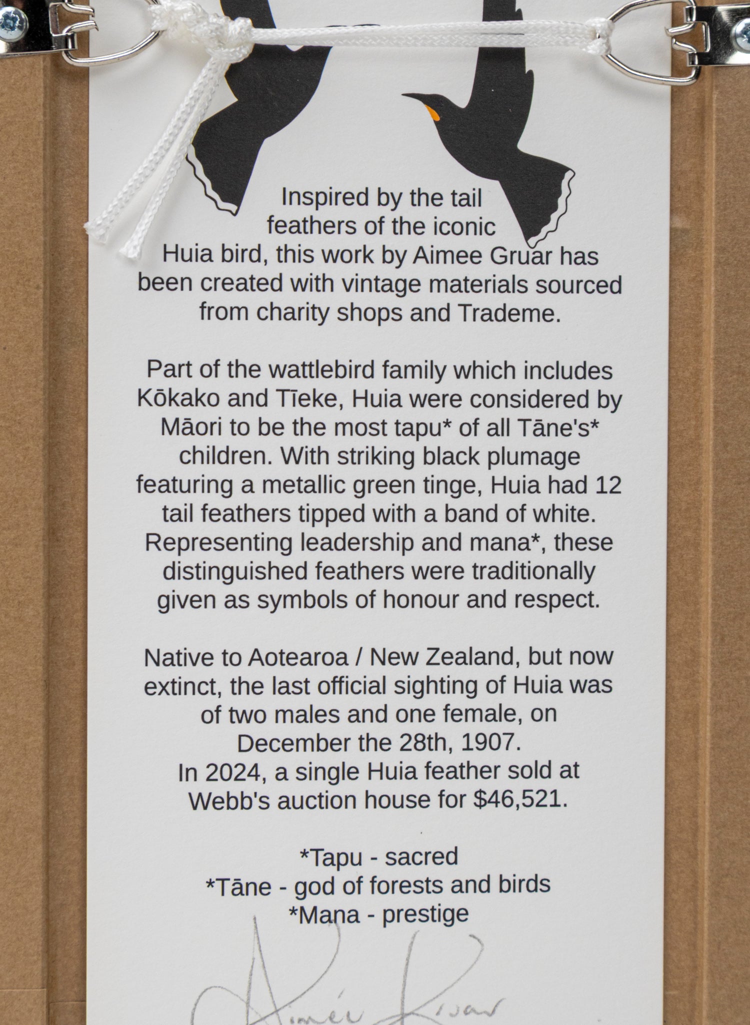 Single Huia Feather Framed