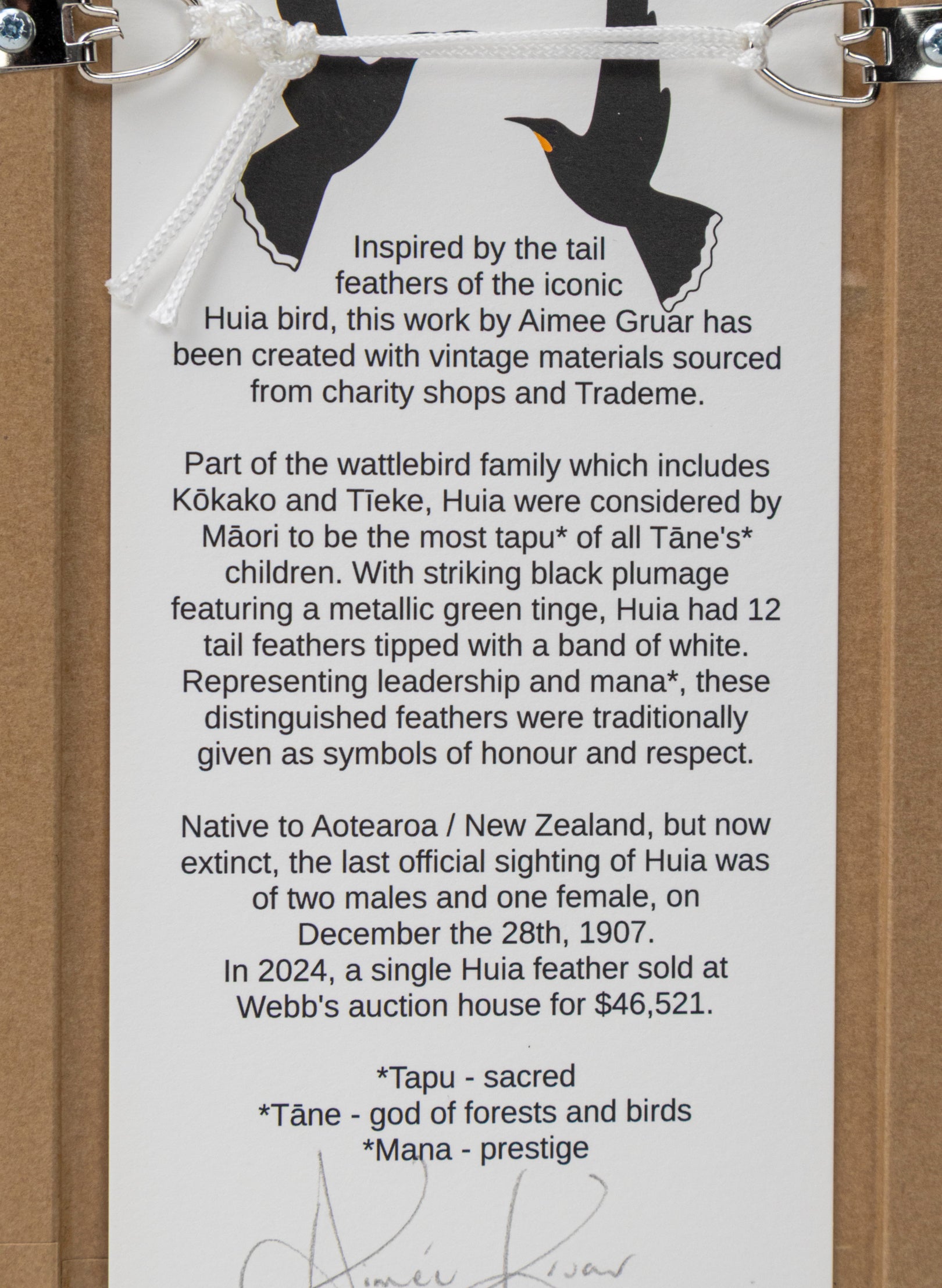 Single Huia Feather Framed