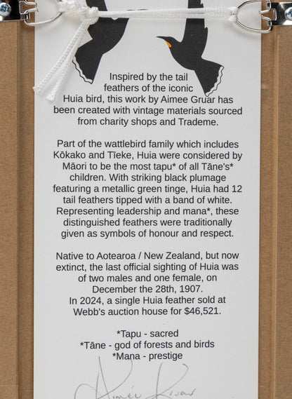 Single Huia Feather Framed