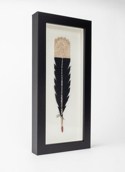 Single Huia Feather Framed