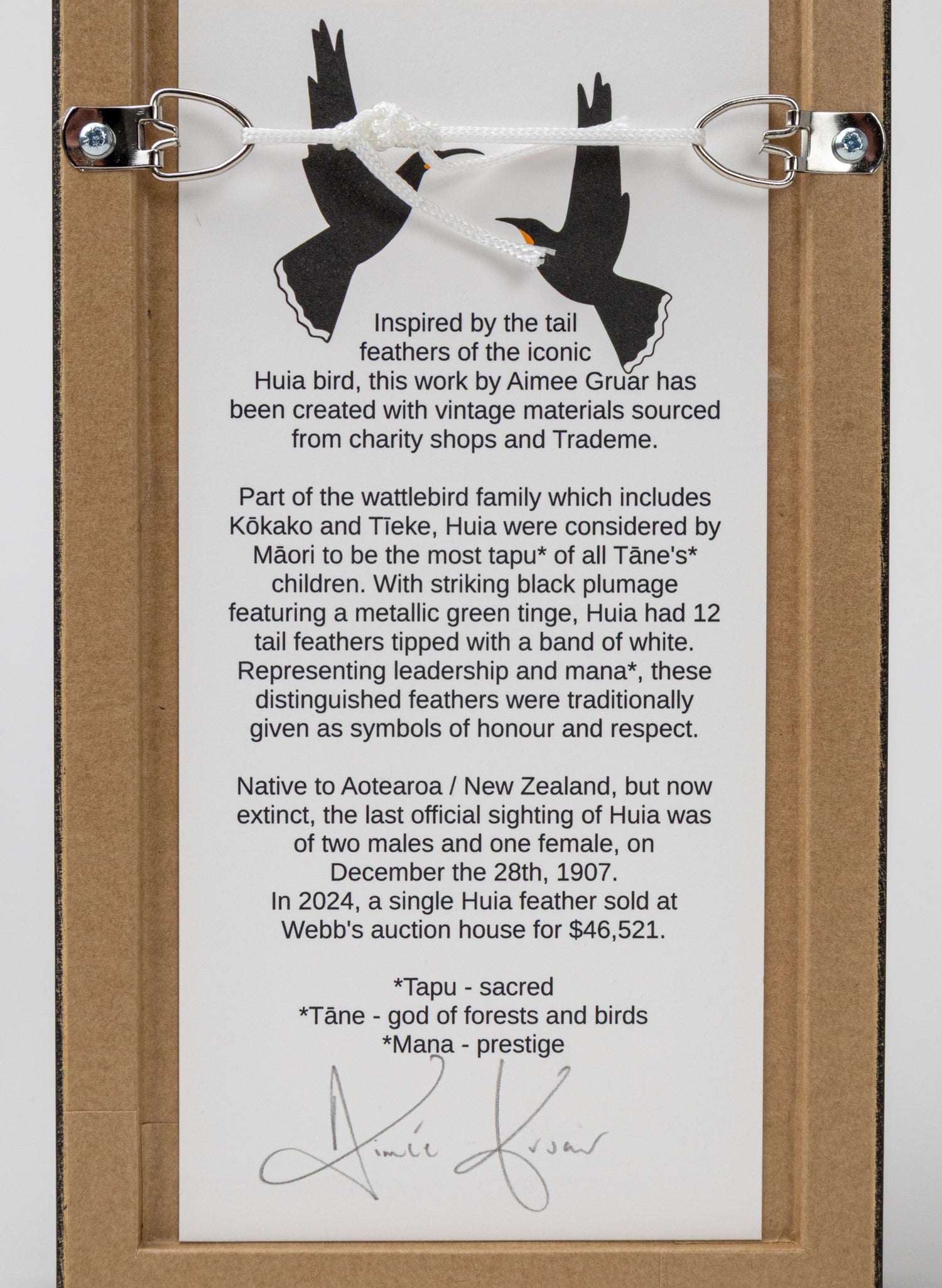 Single Huia Feather Framed