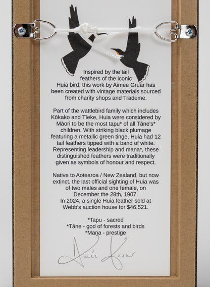 Single Huia Feather Framed