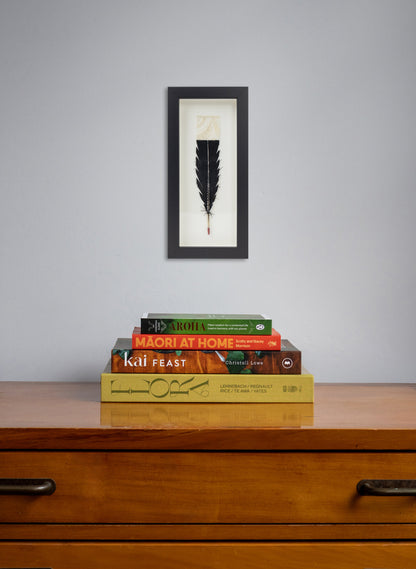Single Huia Feather Framed