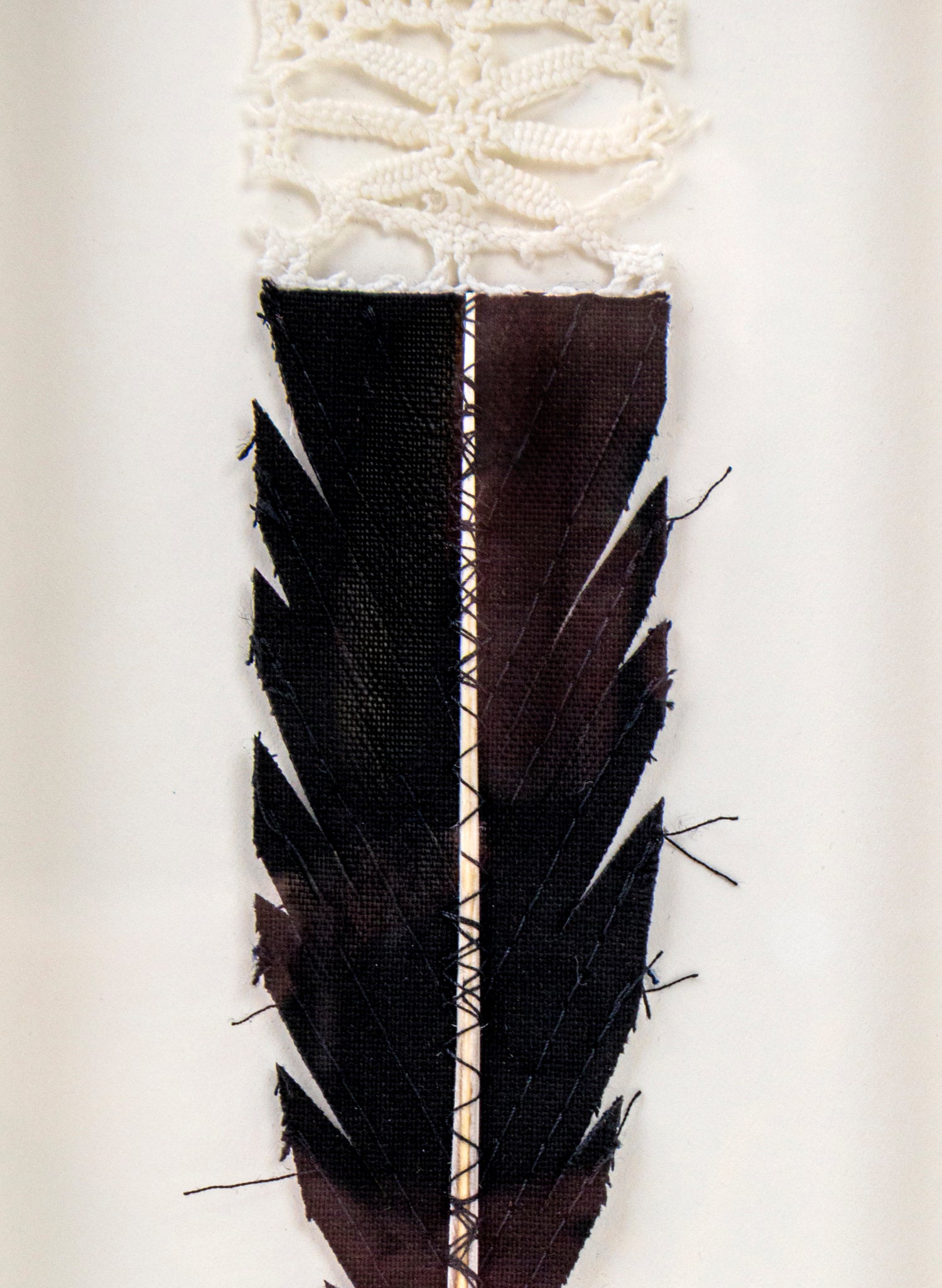 Single Huia Feather Framed