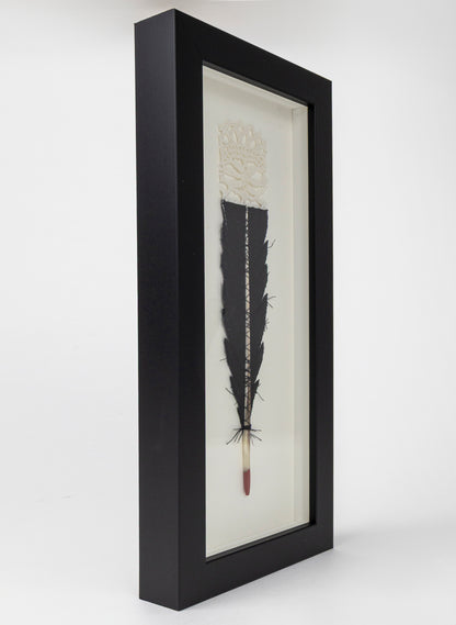 Single Huia Feather Framed