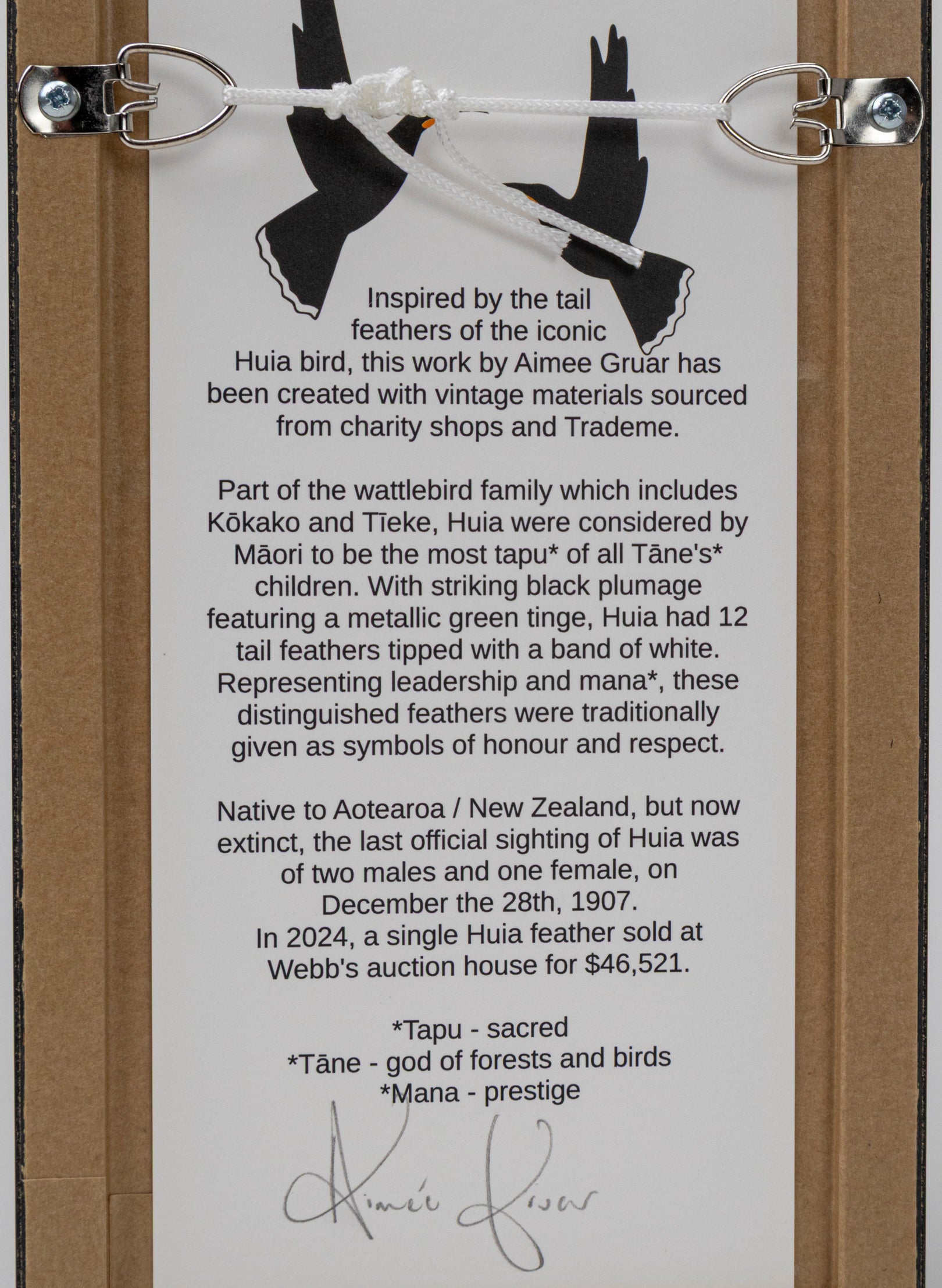 Single Huia Feather Framed