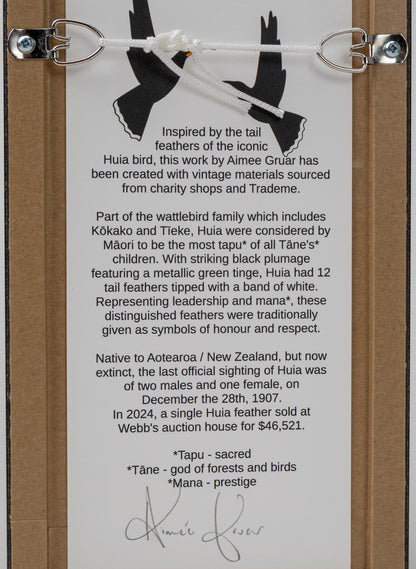 Single Huia Feather Framed