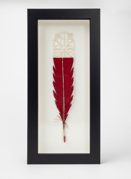 Single Huia Feather Framed