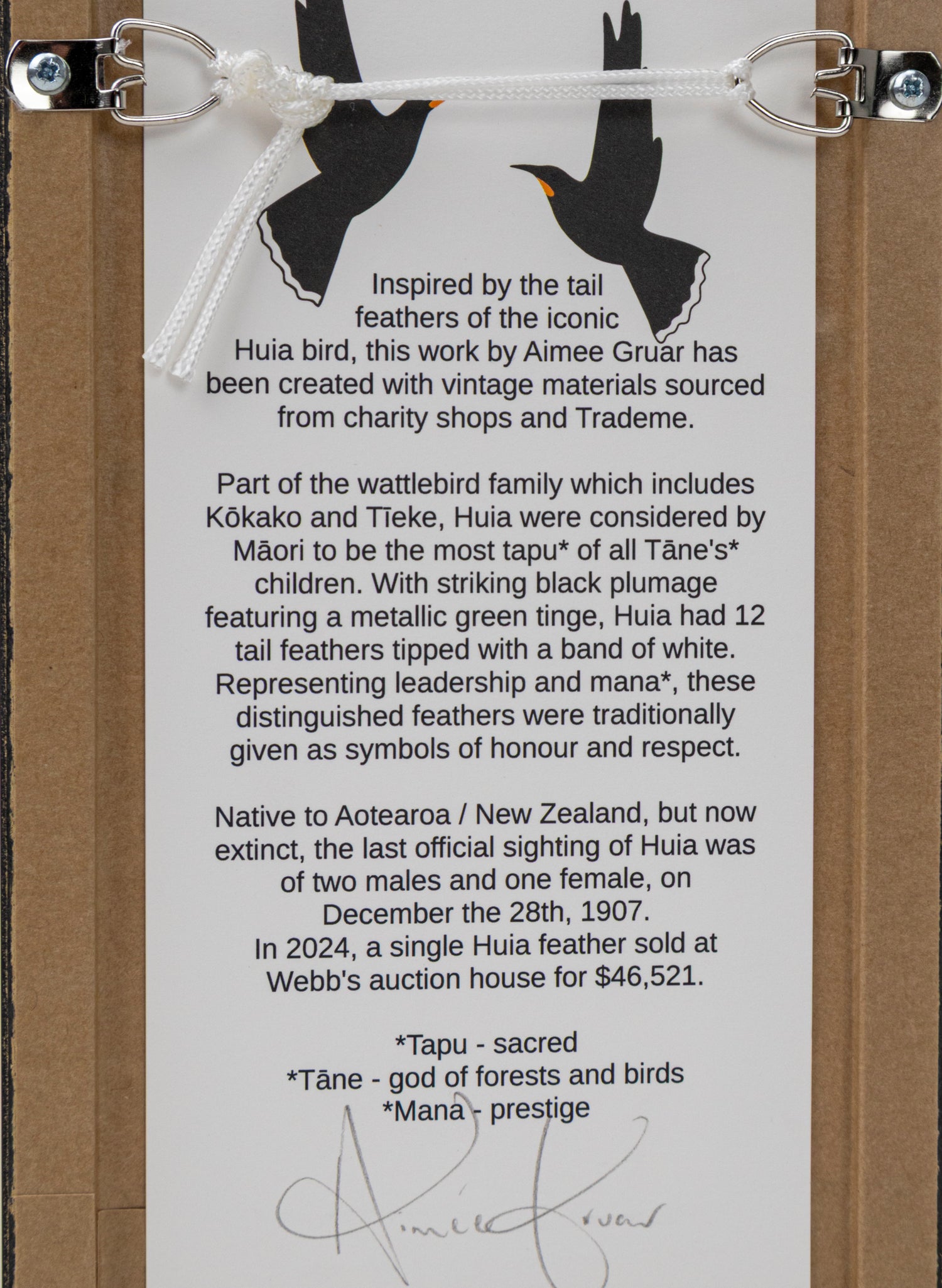 Single Huia Feather Framed