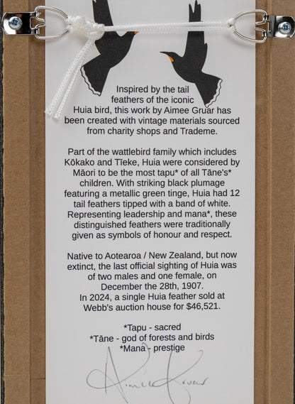 Single Huia Feather Framed