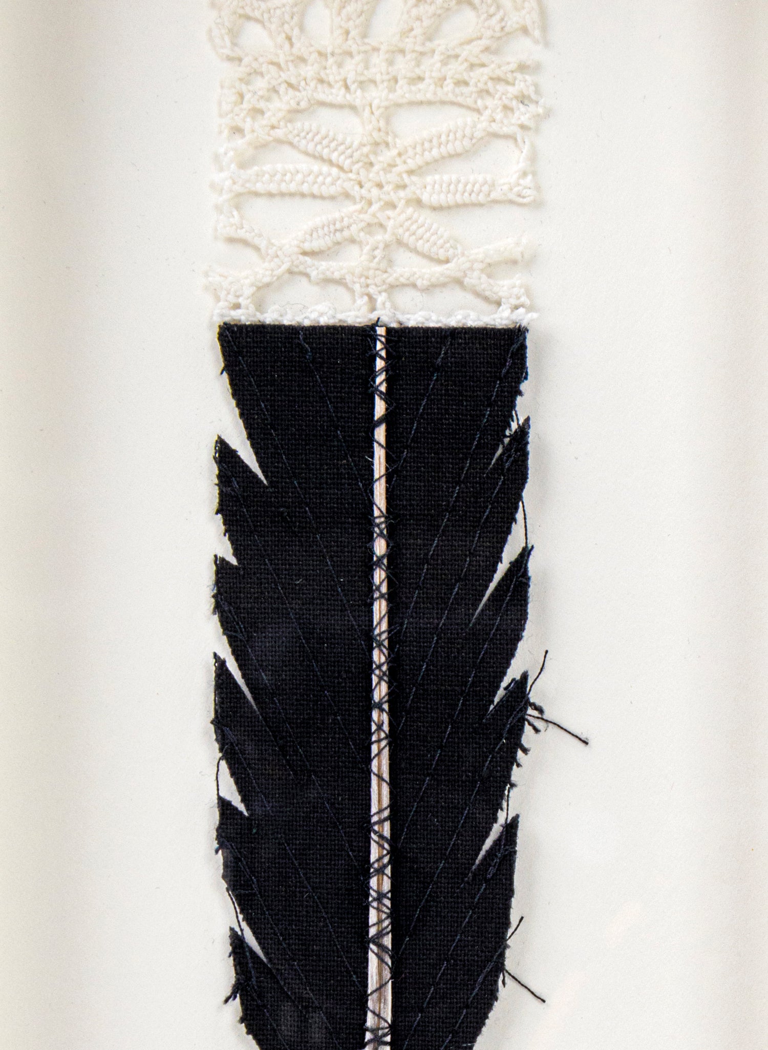Single Huia Feather Framed