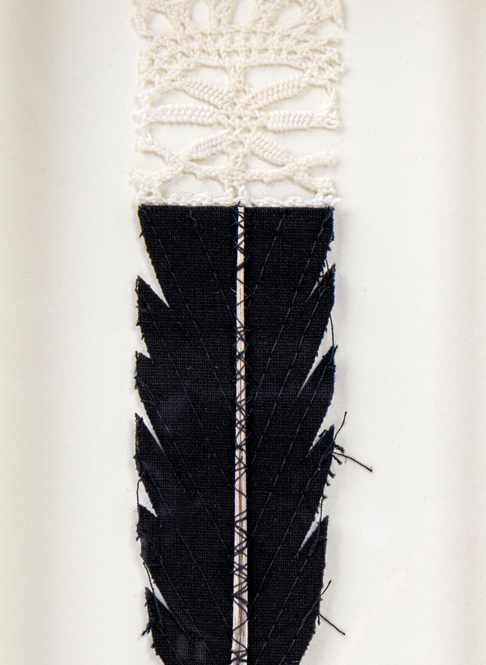 Single Huia Feather Framed
