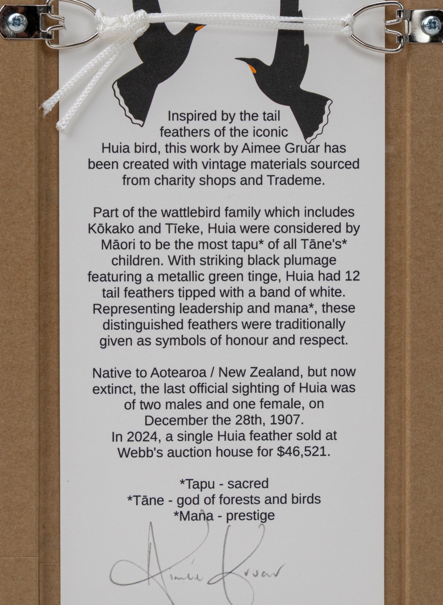 Single Huia Feather Framed