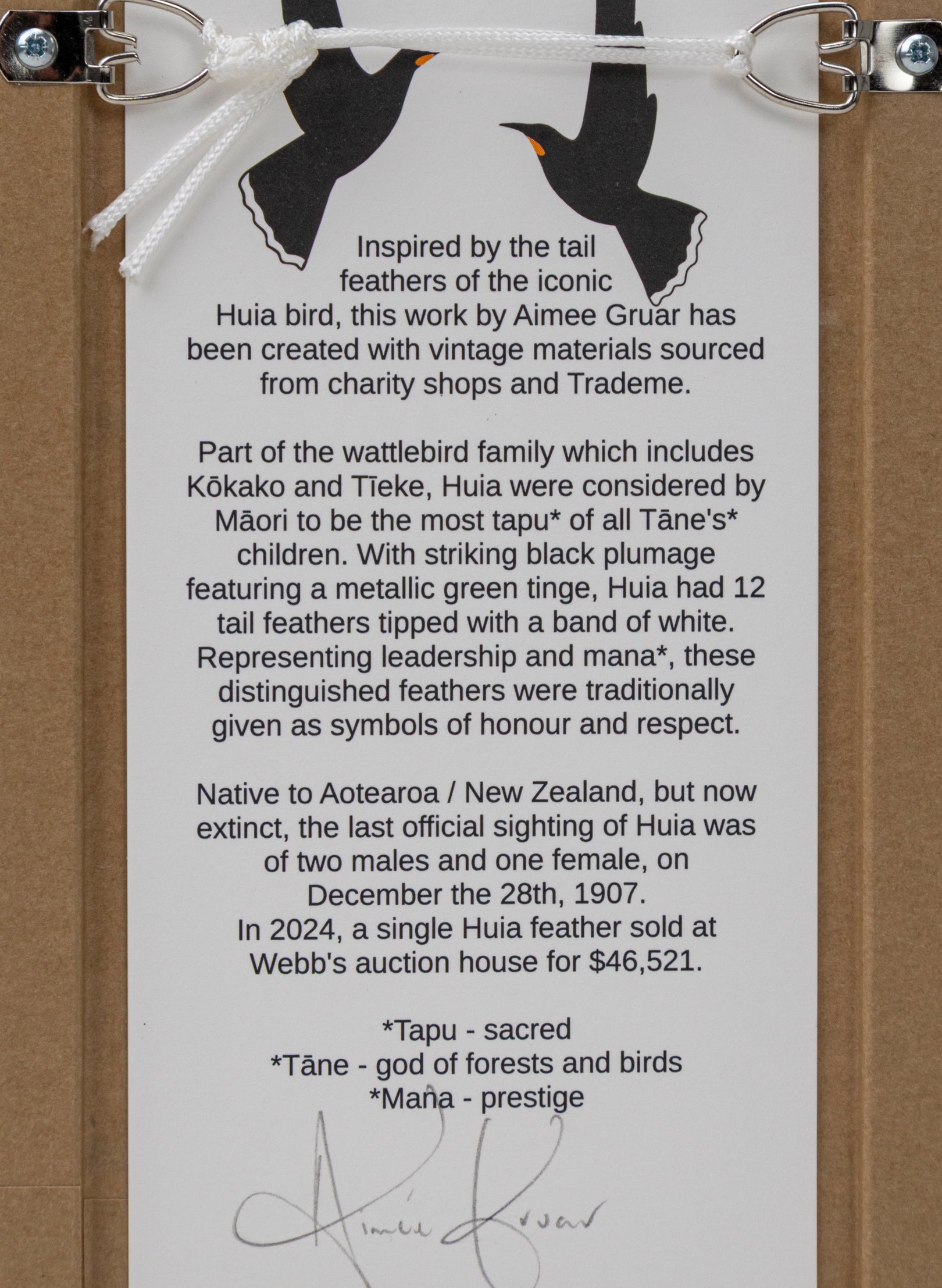 Single Huia Feather Framed