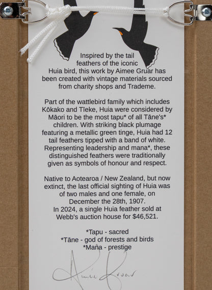 Single Huia Feather Framed