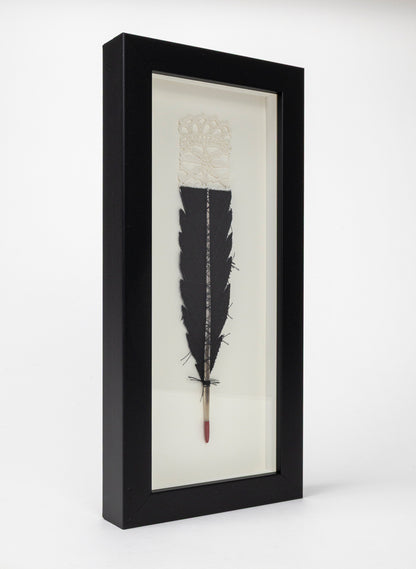 Single Huia Feather Framed
