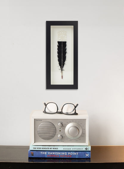 Single Huia Feather Framed