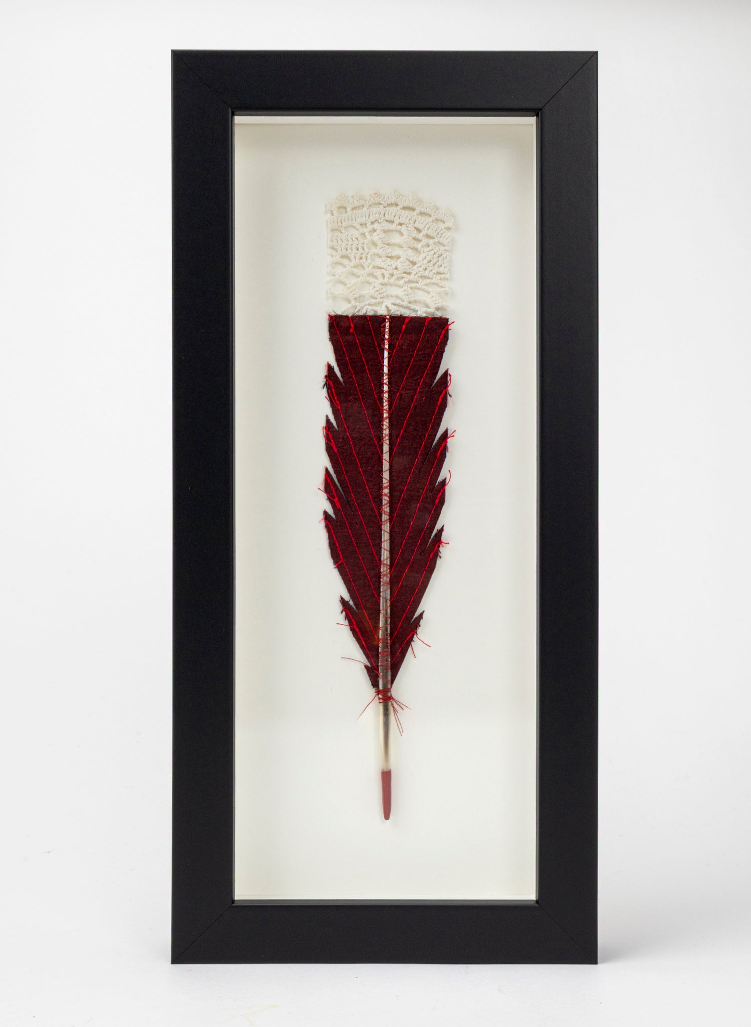 Single Huia Feather Framed