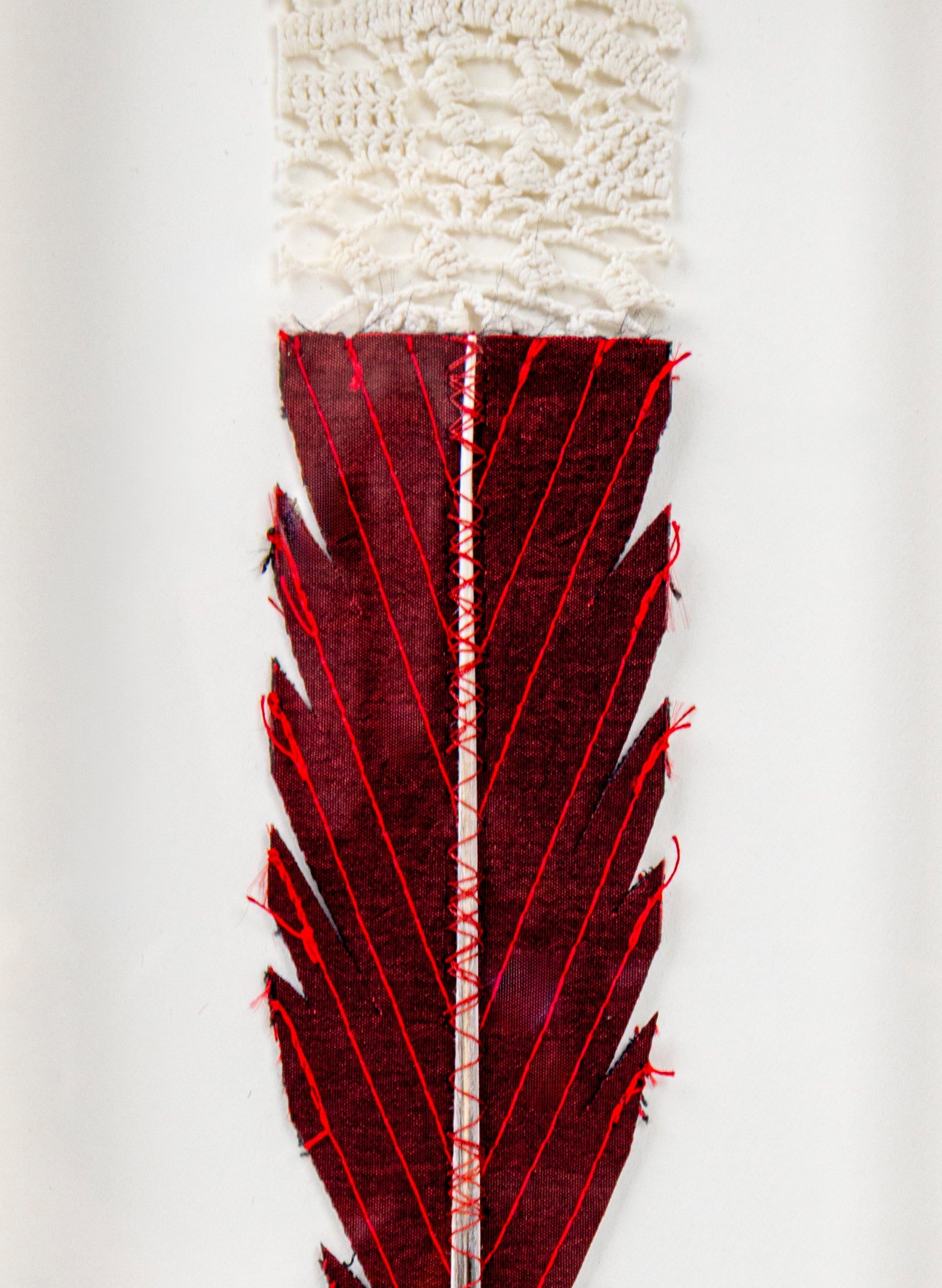 Single Huia Feather Framed