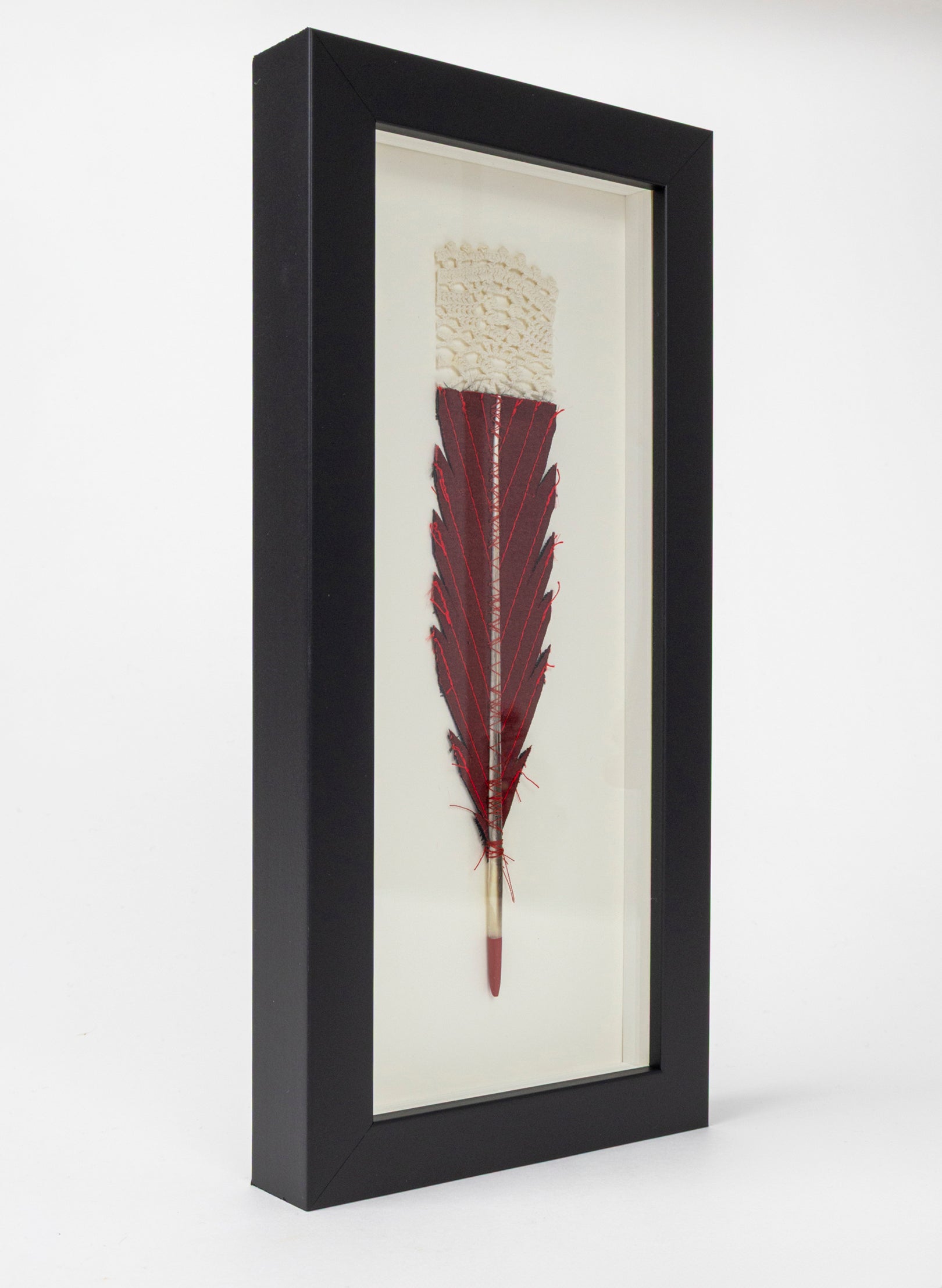 Single Huia Feather Framed