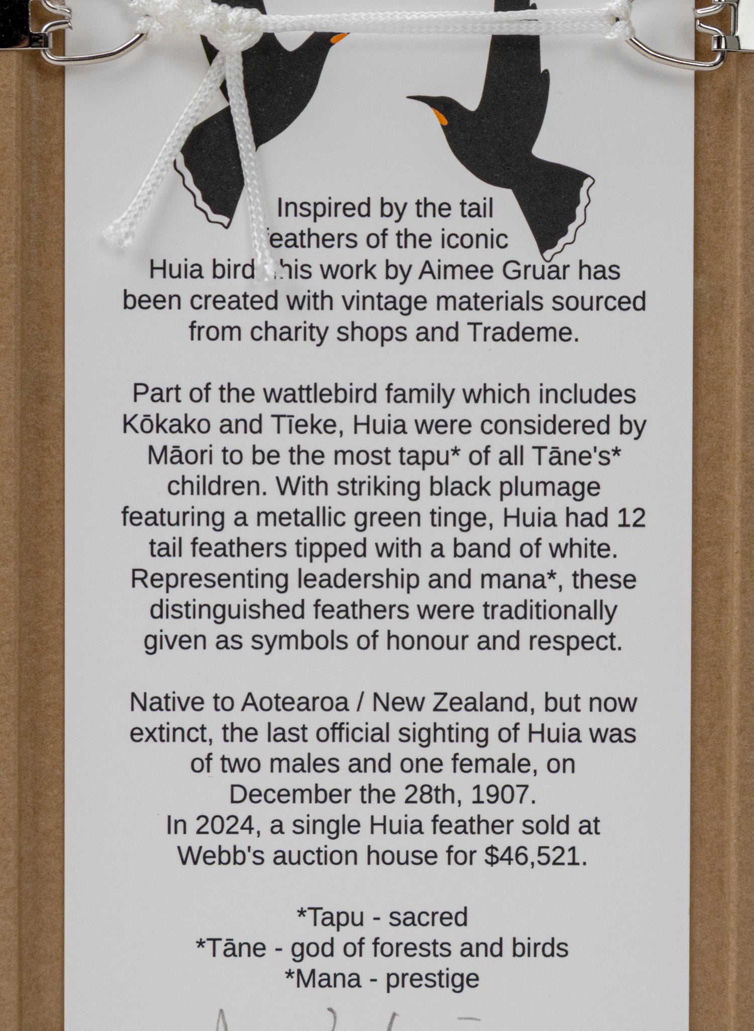 Single Huia Feather Framed