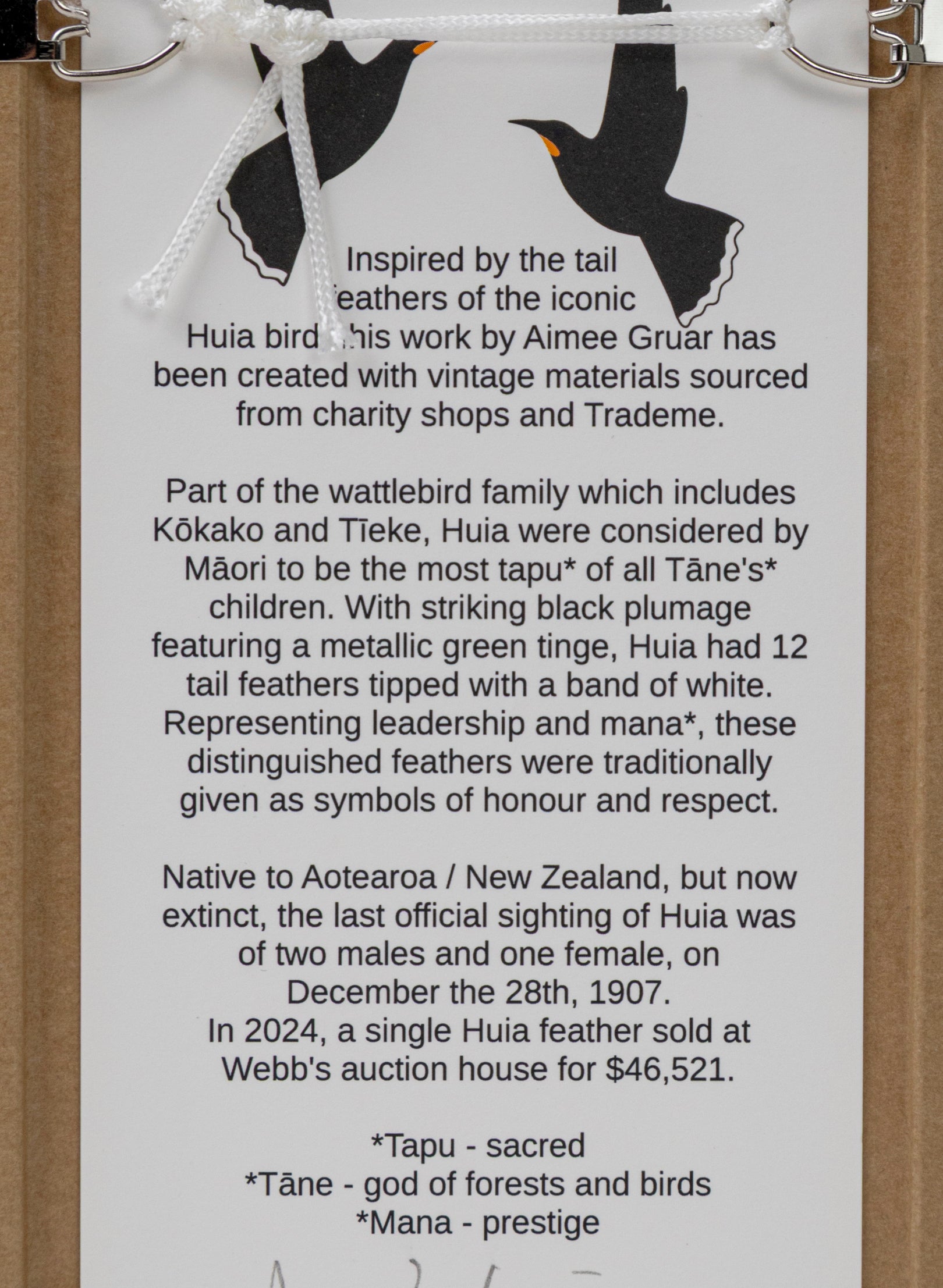 Single Huia Feather Framed