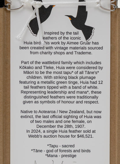 Single Huia Feather Framed