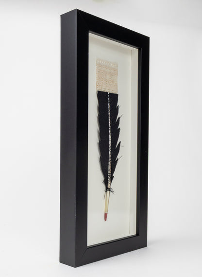 Single Huia Feather Framed