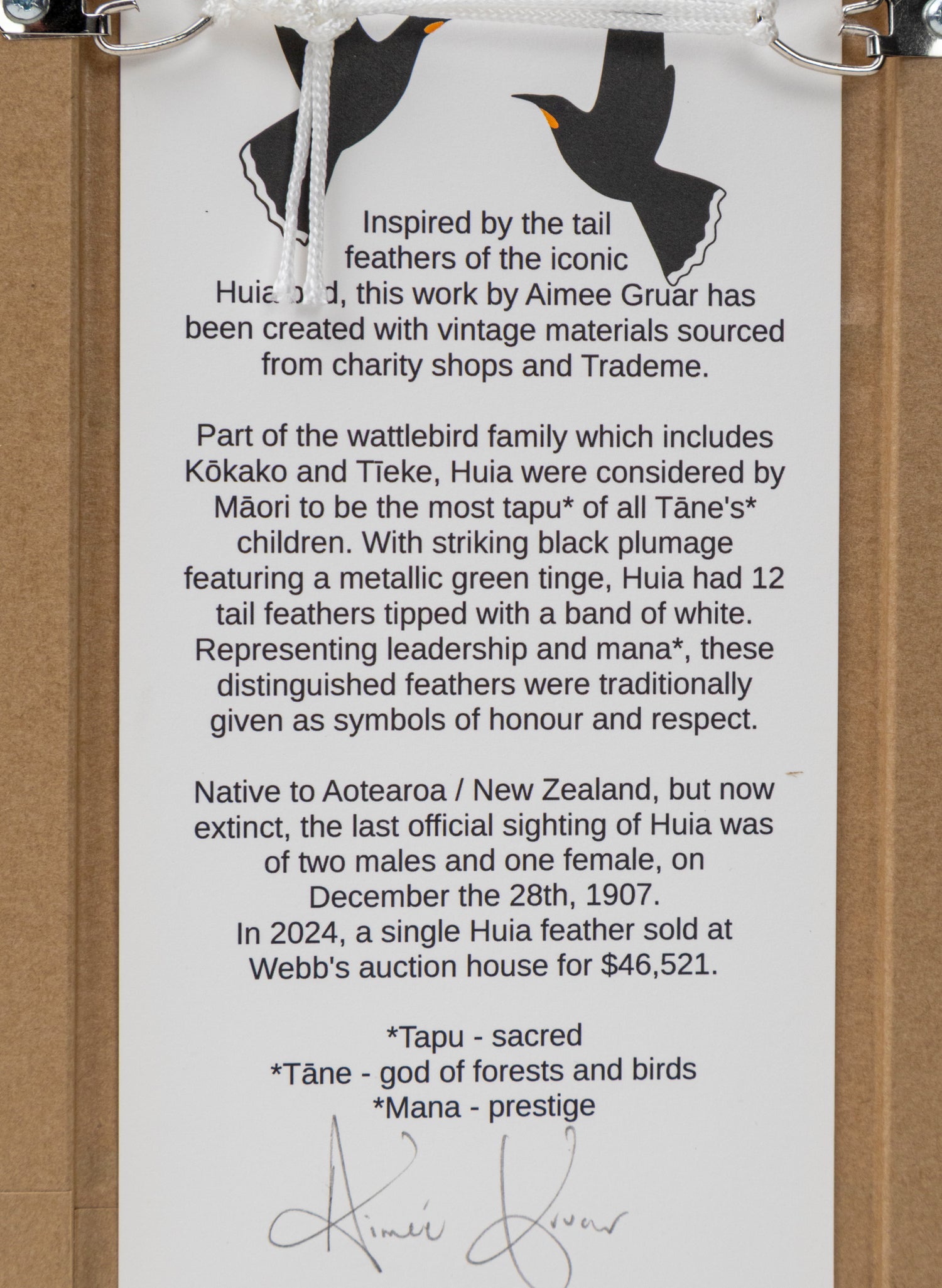 Single Huia Feather Framed