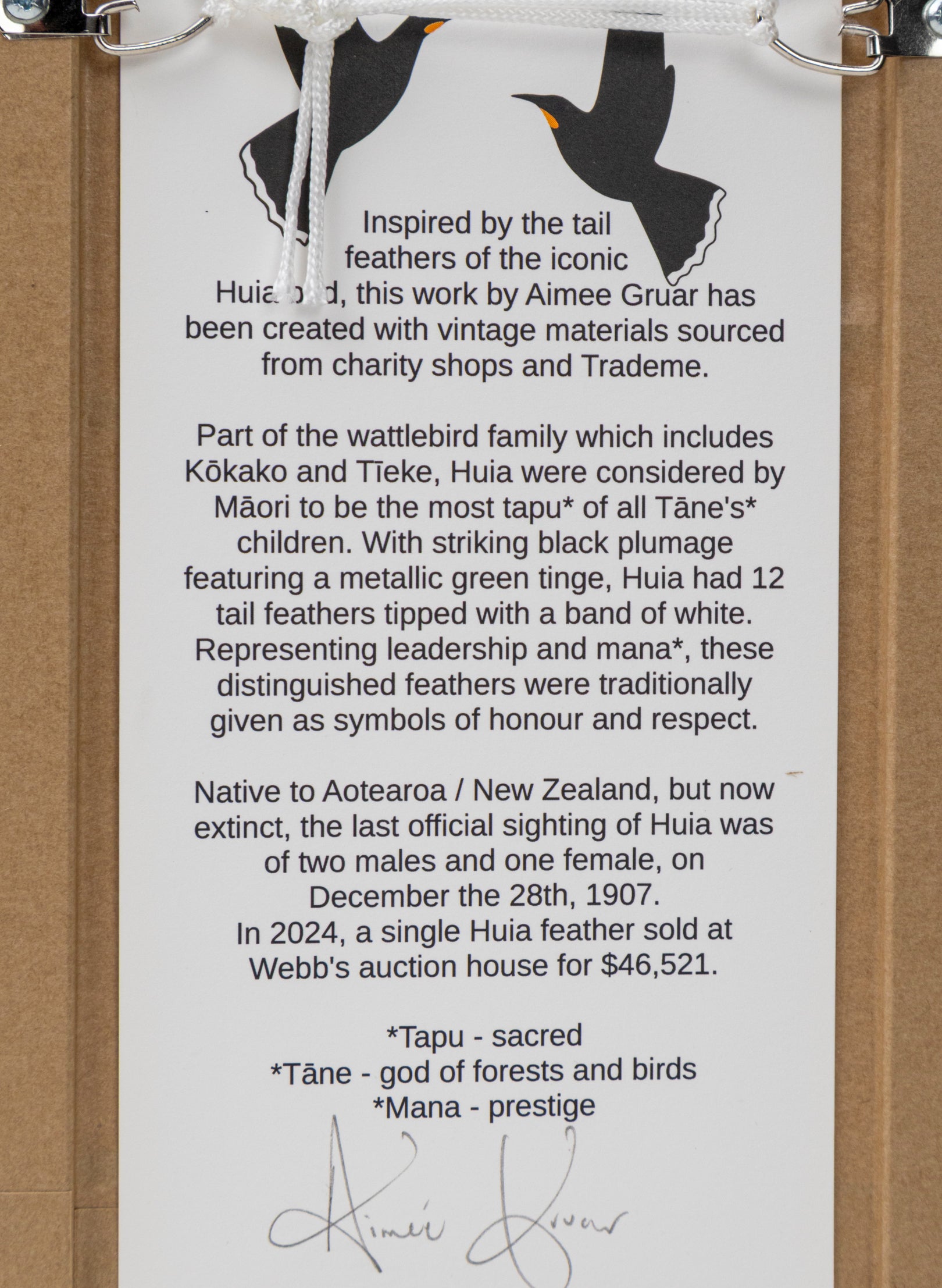 Single Huia Feather Framed