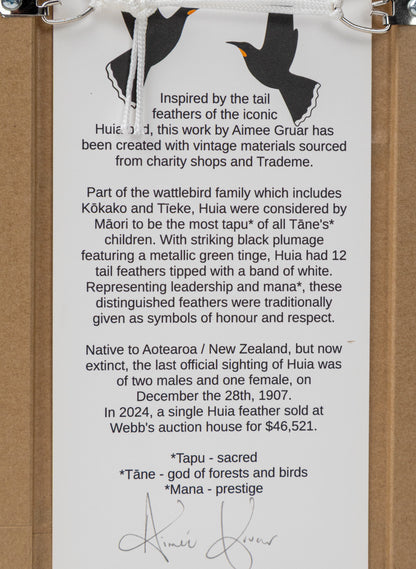 Single Huia Feather Framed