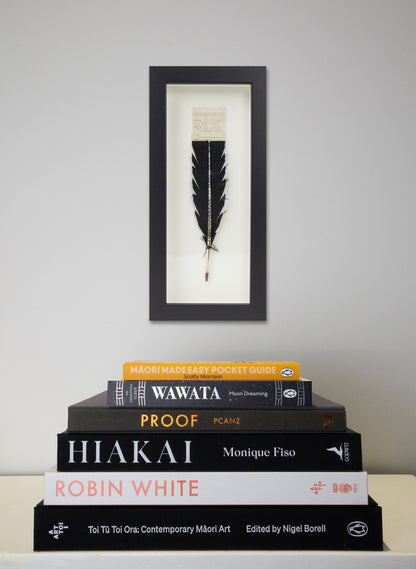 Single Huia Feather Framed
