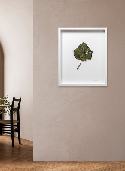 NZ Whau Leaf  - 3D Embroidery