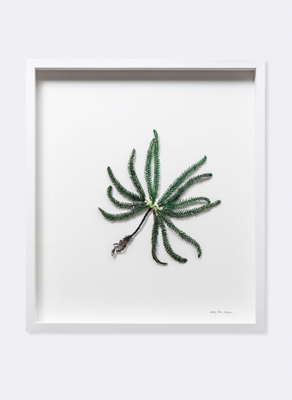 Umbrella Fern - 3D Embroidery