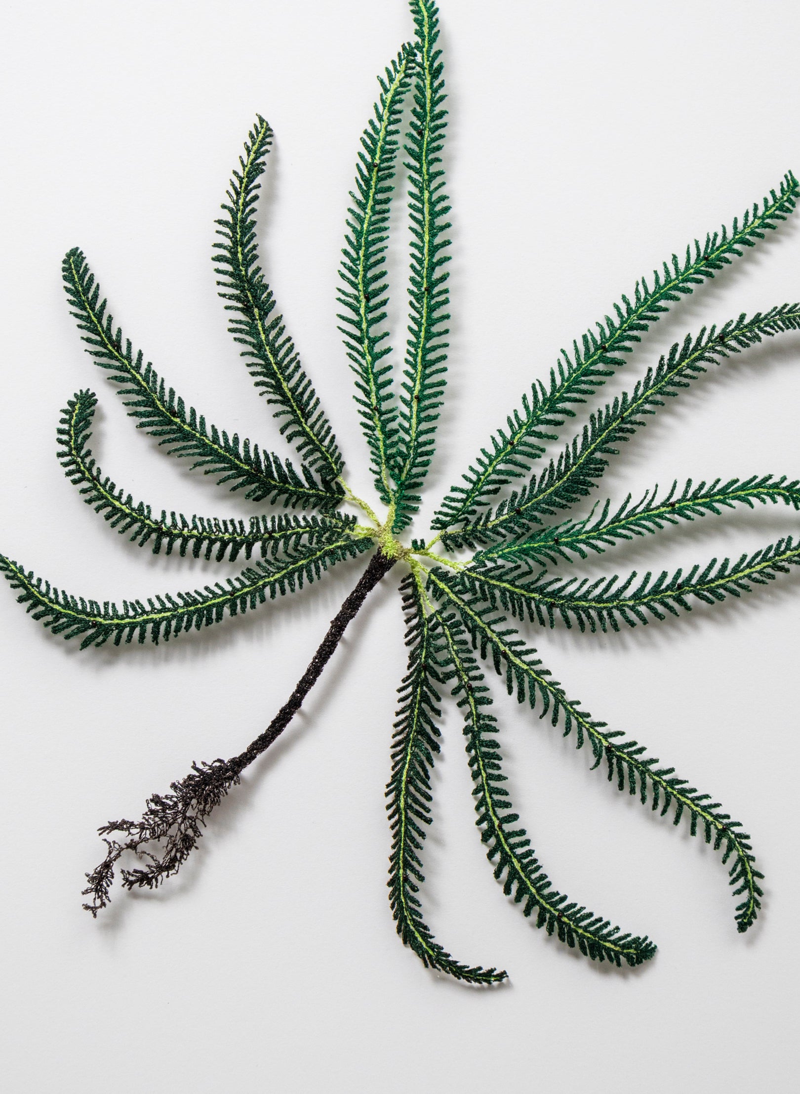 Umbrella Fern - 3D Embroidery