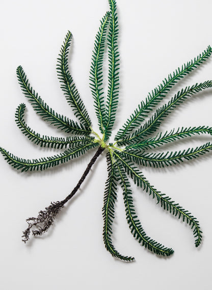 Umbrella Fern - 3D Embroidery